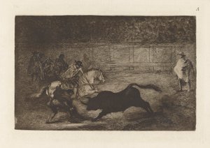 A Spanish Cavalier Breaking...