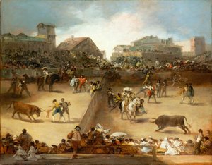 Bullfight in a Divided Ring
