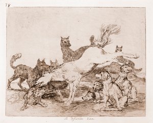 The Disasters of War: He Defends Well by Francisco de Goya