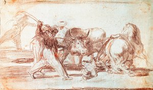 Bullfighting: the Moors who resided in Spain, disregarding the superstitions of the Koran, adopted this art of hunting by throwing spears in the open air