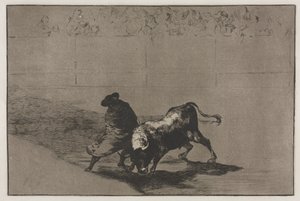 Bullfights: The Very Skilful Student of Falces, Wrapped in his Cape, Tricks the Bull, 1876