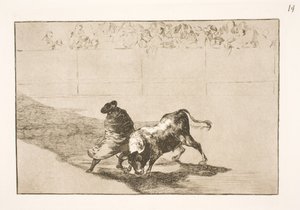 The Very Talented Student from Falces, Honored in His Cape, Tricks the Bull with His Body Movements