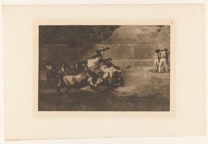 Horse Knocked Over by a Bull