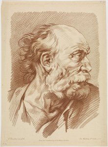 Bust of an Old Man