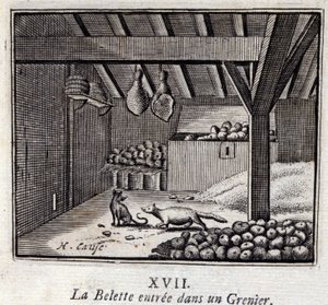 The Weasel Entered a Granary by Francois Chauveau