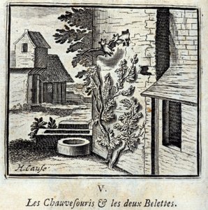 The Bat and the Two Weasels. Fables by Jean de La Fontaine. Illustration by François Chauveau. Edition of 1728