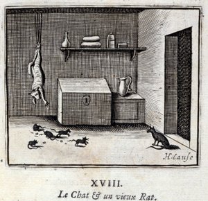 The Cat and an Old Rat by Francois Chauveau