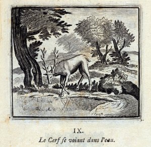 The Deer seeing himself in the water. Fables by Jean de La Fontaine. Illustration by François Chauveau