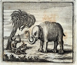 The Elephant and the Monkey of Jupiter. Fables by Jean de La Fontaine. Illustration by François Chauveau. Edition of 1728. by Francois Chauveau