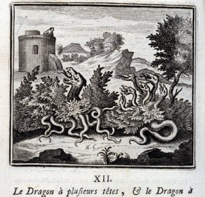 The Dragon with Several Heads and the Dragon with Several Tails by Francois Chauveau