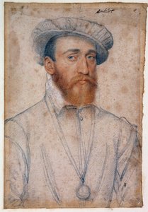 Portrait of Francois de Coligny, Lord of Andelot by François Clouet