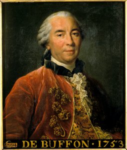 Portrait of Georges Louis Leclerc, Count of Buffon