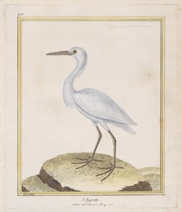 The Egret by Francois Nicolas Martinet