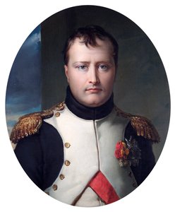 Napoleon Bonaparte, Emperor, pre 1830