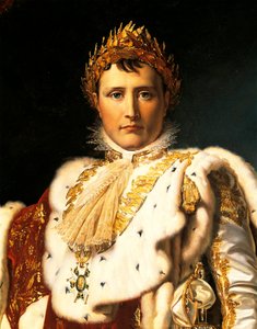Napoleon Bonaparte in Emperor