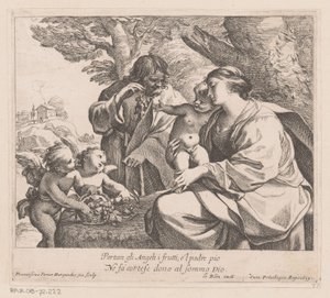 Holy Family with Putti and Grapes