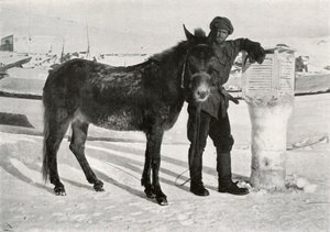 Gran With Mule Lal Khan (c. 1911)