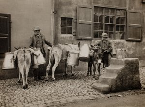 Milk Donkeys
