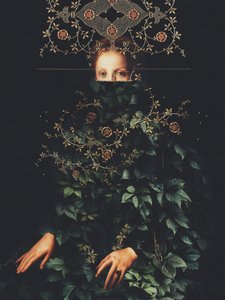 Patience II