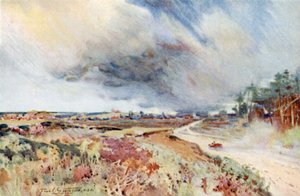 Heath near Sandringham