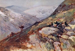 Near Kielder by Frank Southgate