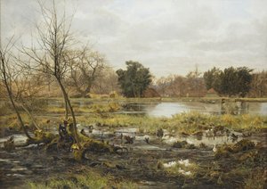 Rural Scene