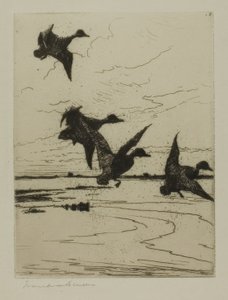 Landing Ducks by Frank Weston Benson