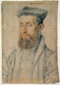 Portrait of Mellin de Saint-Gelais, French Poet