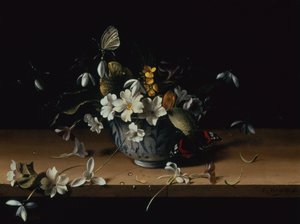 Flowers in a Blue and White Chinese Porcelain Bowl with a Red Admiral Butterfly on a Wooden Ledge by François Habert