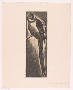 Parrot Sitting on a Branch by Frans Bosen