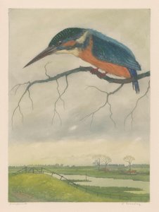 Kingfisher on a branch in a meadow landscape by Frans Everbag (signed by artist)