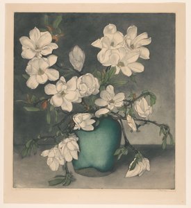 Magnolia Branches