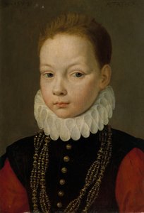 Portrait of a Nine-Year-Old Boy