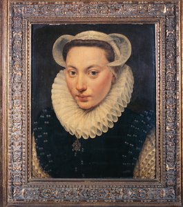 Portrait of a Young Lady