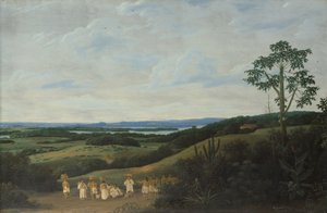 A Brazilian Landscape