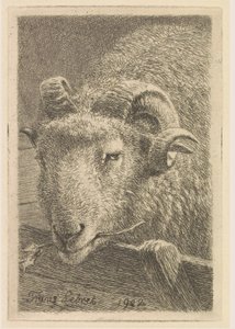 Head of a ram by Frans Lebret