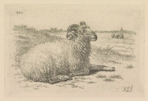 Lying Ram in a Meadow