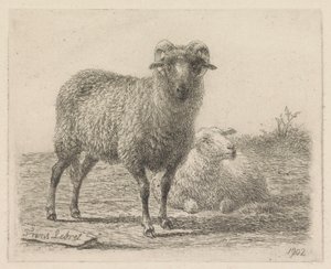Ram and Sheep