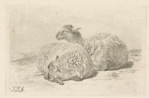 Two lying sheep by Frans Lebret