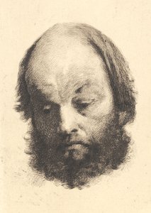 Black-bearded Man, Garibaldi