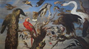 Concert of Birds
