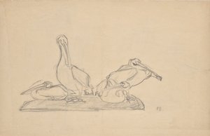 Design for a Pelican Group