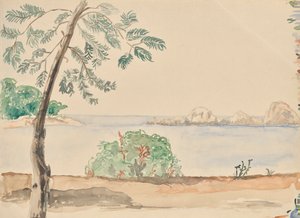 Coast in Florida (?) by Franz Barwig d. Ä.