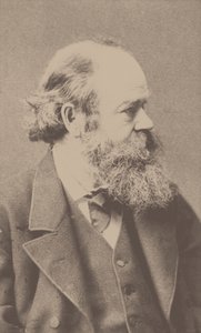 Portrait of the Composer Robert von Hornstein 1833-1890