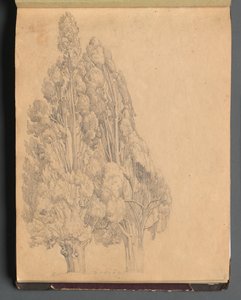 Album with Views of Rome and Surroundings, Landscape Studies, Page 13a: Trees by Franz Johann Heinrich Nadorp