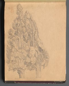 Album with Views of Rome and Surroundings, Landscape Studies, page 13a: Trees by Franz Johann Heinrich Nadorp
