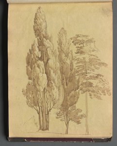 Album with Views of Rome and Surroundings, Landscape Studies, Page 15a: Trees by Franz Johann Heinrich Nadorp