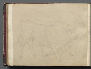 Album with Views of Rome and Surroundings, Landscape Studies, Page 51b: Study of a Bull by Franz Johann Heinrich Nadorp