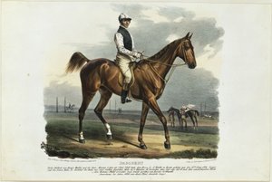 Dagobert by Franz Krüger