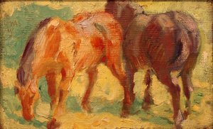 Small Horse Picture